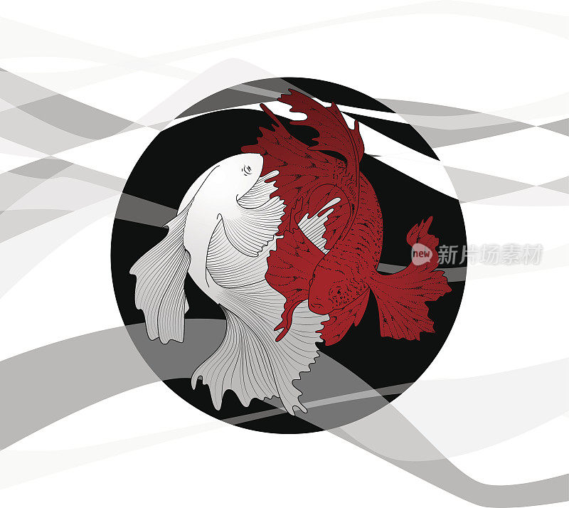 Two betta fish red and white fighting on black round icon